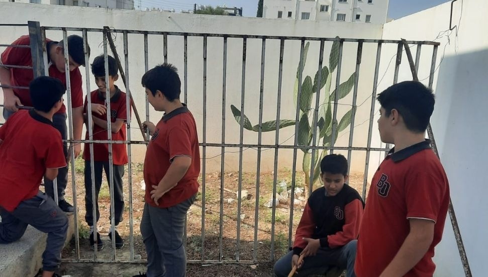 Bayraktar Ortaokulu'ndan Sokak Hayvanlarına Destek Projesi