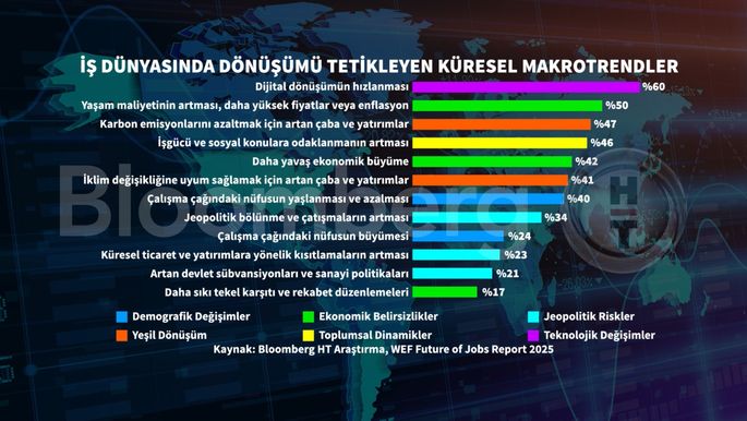 Daron Acemoğlu'nun Yapay Zeka ve Refah Paylaşımı Üzerine Düşünceleri